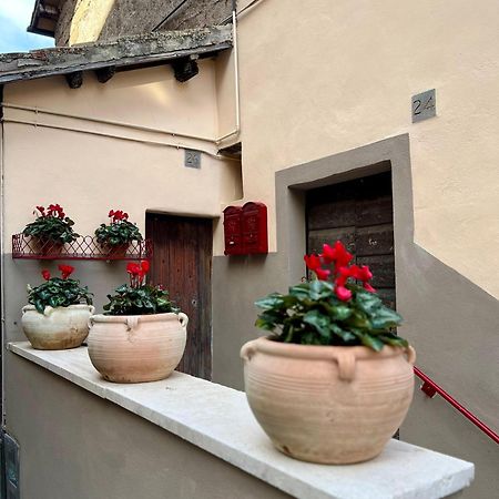 Elena'S Suite Sutri Exteriér fotografie