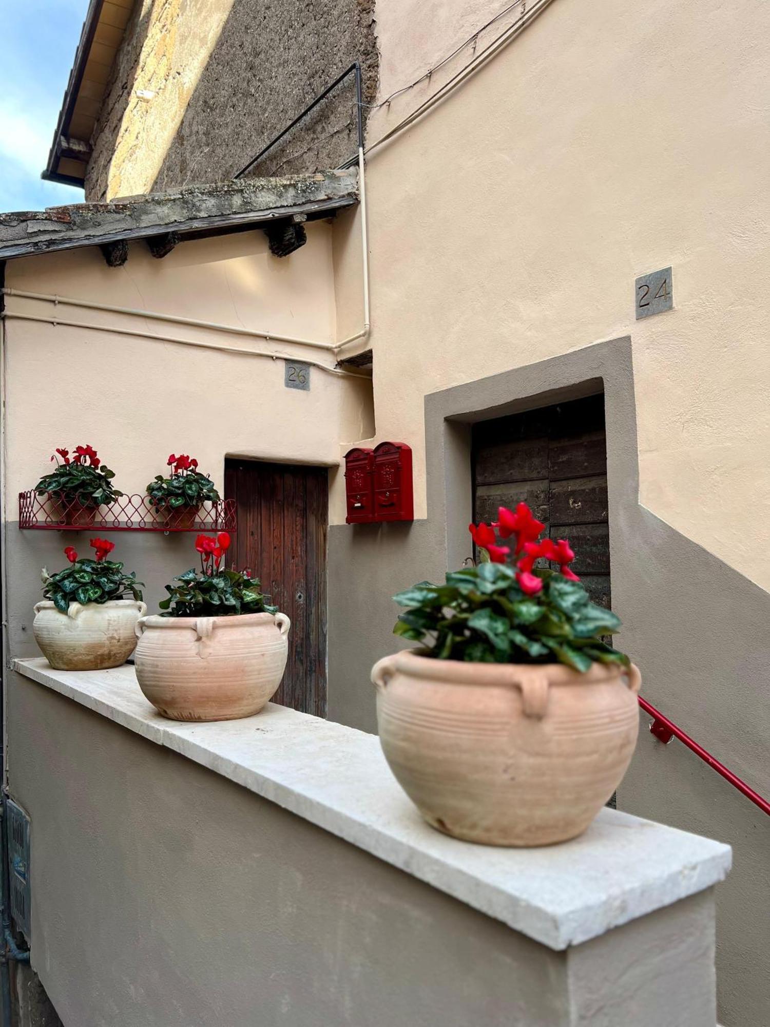Elena'S Suite Sutri Exteriér fotografie
